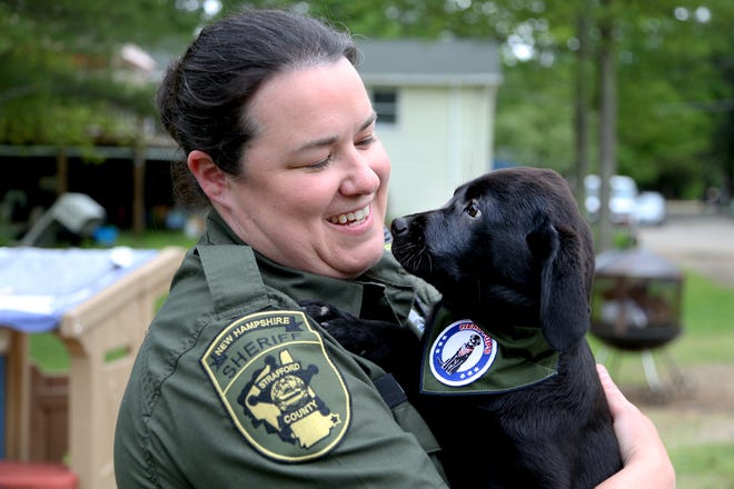 Strafford County Sheriff's Deputy Katie O’Brien greets Cara, the department's first comfort dog on Thursday, June 2, 2022 in Exeter at the nonprofit Hero Pups.