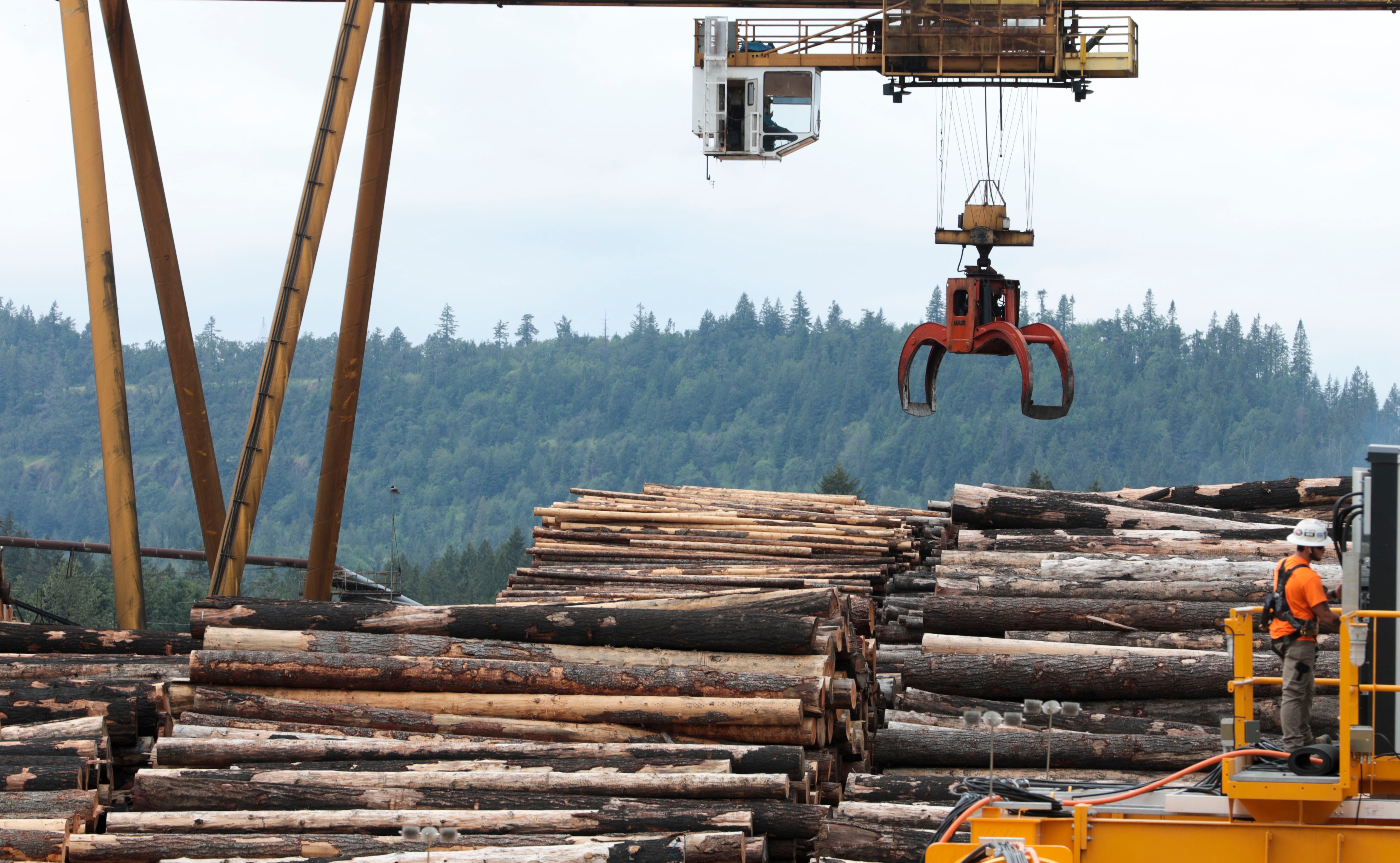 Trump orders call to expand timber production. What does it mean for Oregon?