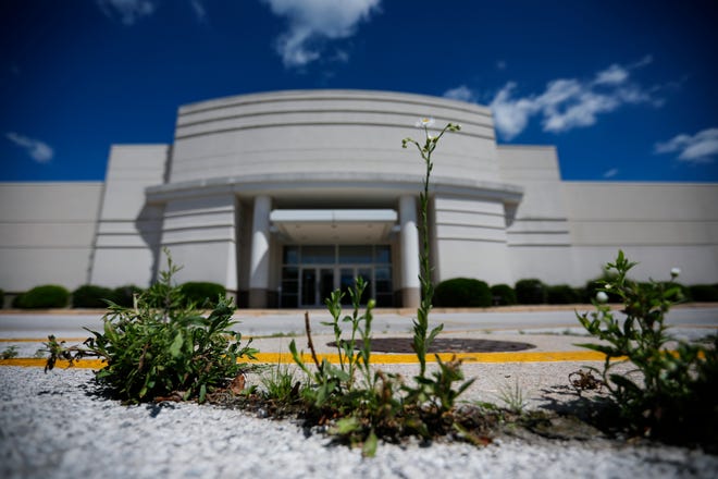 Weeds grown in the parking lot at the vacant building that formerly housed Sears in the Battlefield Mall.