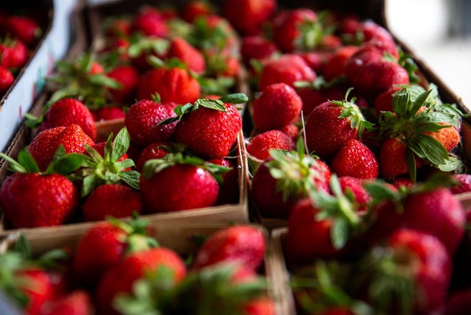 Freshly picked strawberries await customers at Redberry Farm on Tuesday, June 14, in Hudsonville.