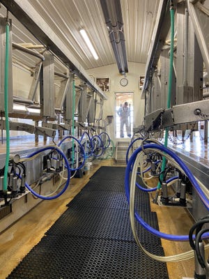 Cows get milked at 3:30 a.m. and 3:30 p.m. each day at Rolling Lawns Farm in Greenville. Handlers clean and sanitize each animal’s udder before attaching an automatic milker unit, which collects milk for about eight minutes.