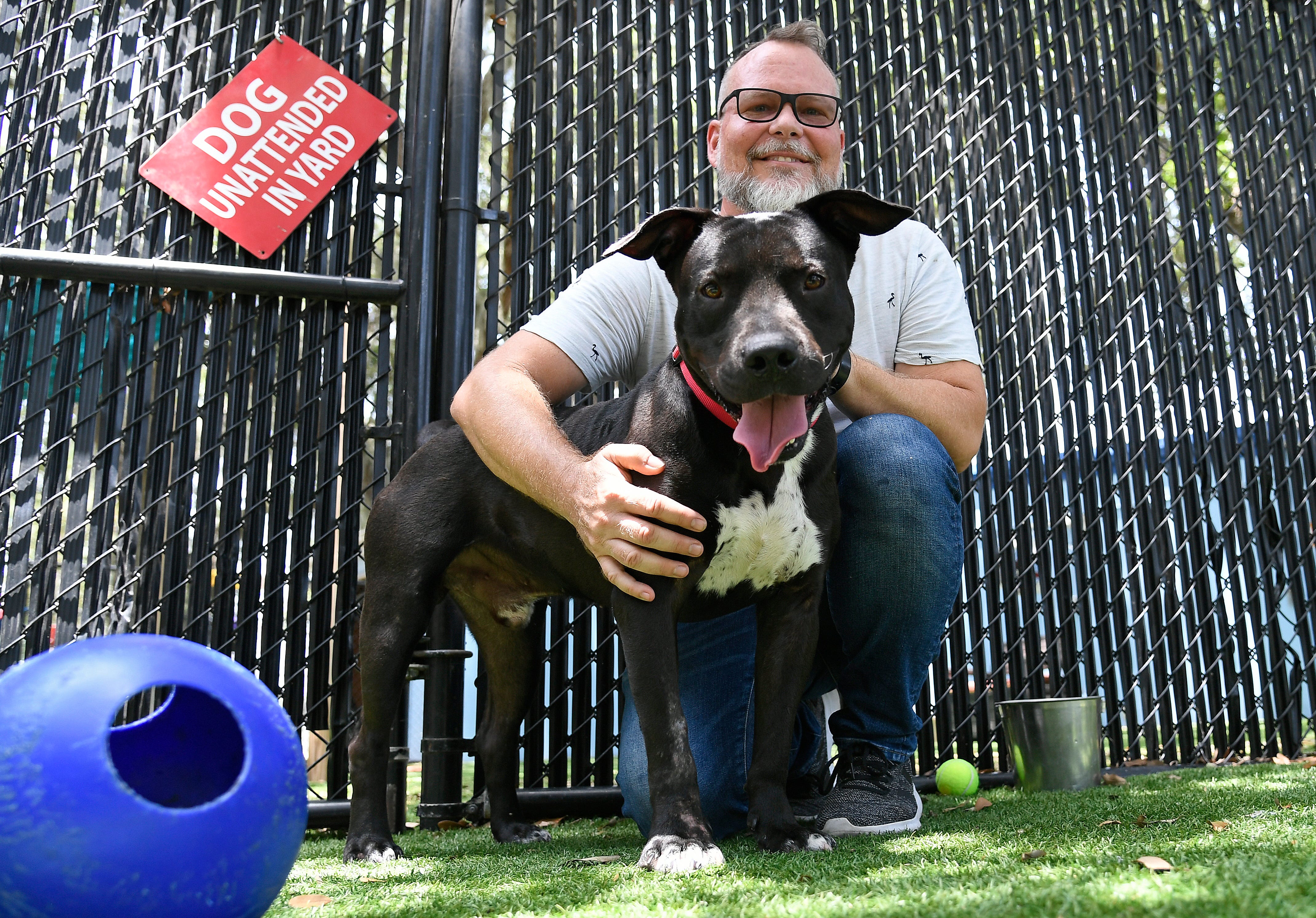 Pet surrenders rise as Manatee animal shelters reach capacity