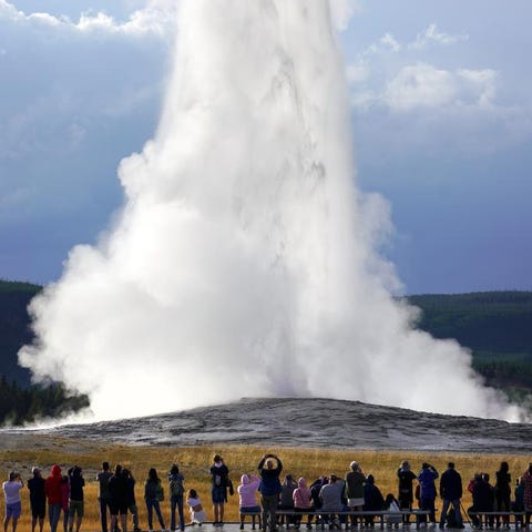 The Old Faithful geyser shoots high into the air a