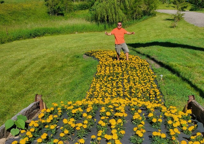 Brad Heald tiptoes through the marigolds spilling out of the back end of his old dump truck.