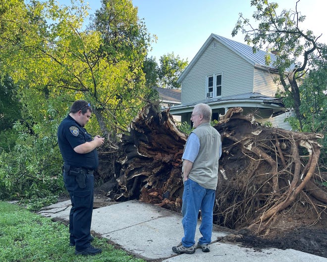 An Oconto Police officer takes notes while speaking  with an Oconto resident Thursday morning following the Wednesday night storm, which uprooted this tree and others in the city.