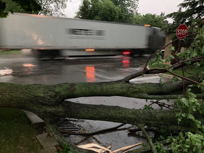 A powerful storm that moved through Brown County on Wednesday evening knocked down a tree at Riverside Drive and Iroquois Avenue in Allouez.