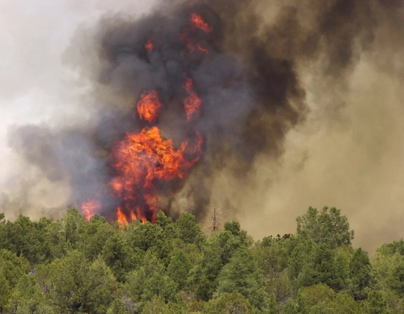 Flames leap more than 100 feet in the air as the Rodeo-Chediski Fire burns up a ridge line in 2002.