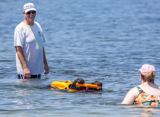Ed Binnix observa cómo sus perros Sunday y Sacha nadan hacia su hija Lainey después de encontrar un palo flotante en el agua en Beach Drive el viernes.