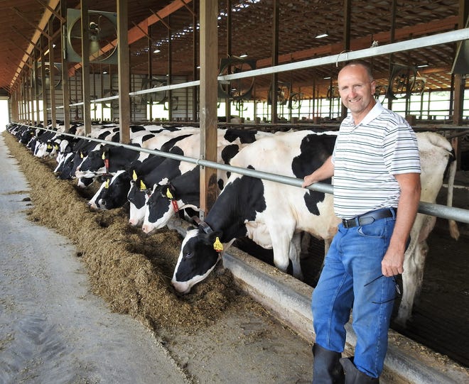 Bill Daugherty with some of the 300 cows at Daugherty Farms in Fresno. They milk about 250 cows per day and get around 95 pounds of milk, which currently goes to a bottler in Charleston, West Virginia. Bill said milk prices have never been higher, but neither has everything that goes into running a dairy farm from fuel to fertilizer.