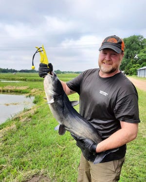 Brian Fisher, a fish culturist at the south-central Kansas hatchery in Pratt, holds one of the Blue Catfish breeding stock that Kansas Department of Wildlife and Parks acquired from the state of Arkansas.