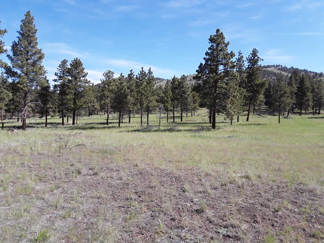 More than 100 acres of land has been added to the Helena-Lewis and Clark National Forest south of York. The Jim Town acquisition is now open to the public for hunting and motorized recreation.