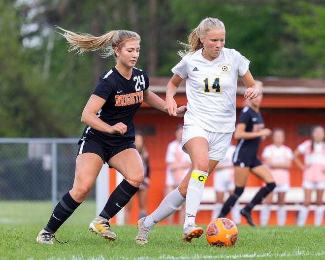 Hartland's Hannah Kastamo (14) made the all-state Dream Team, while Brighton's Emily Kramer (24) received honorable mention in Division 1.