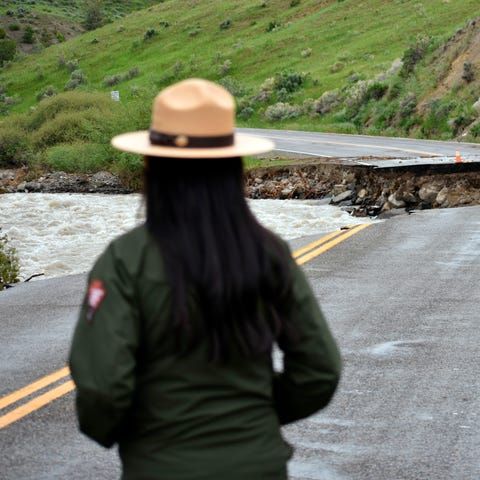 A Yellowstone National Park ranger is seen standin