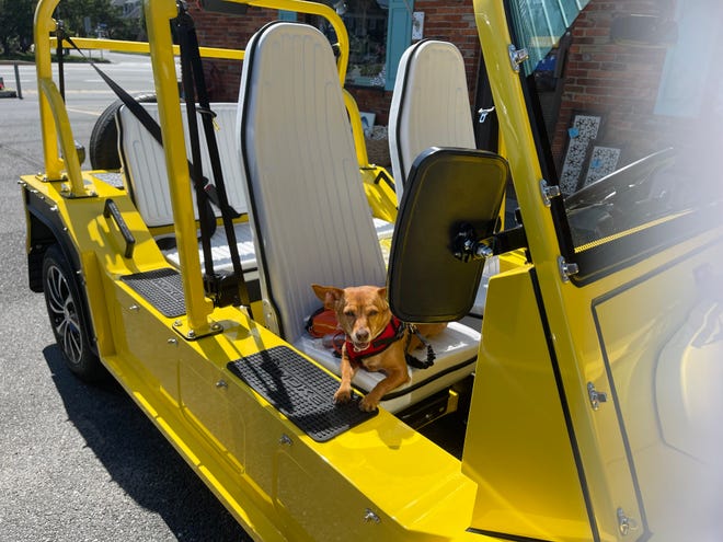 Kim Espinosa, the plaintiff in a recent lawsuit against the Town of Fenwick Island, often takes her dogs with her on trips in her Moke, an electric golf cart.