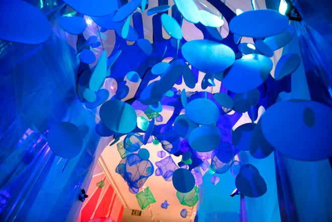 The immersive exhibition at the Fred Jones Jr. Museum of Art