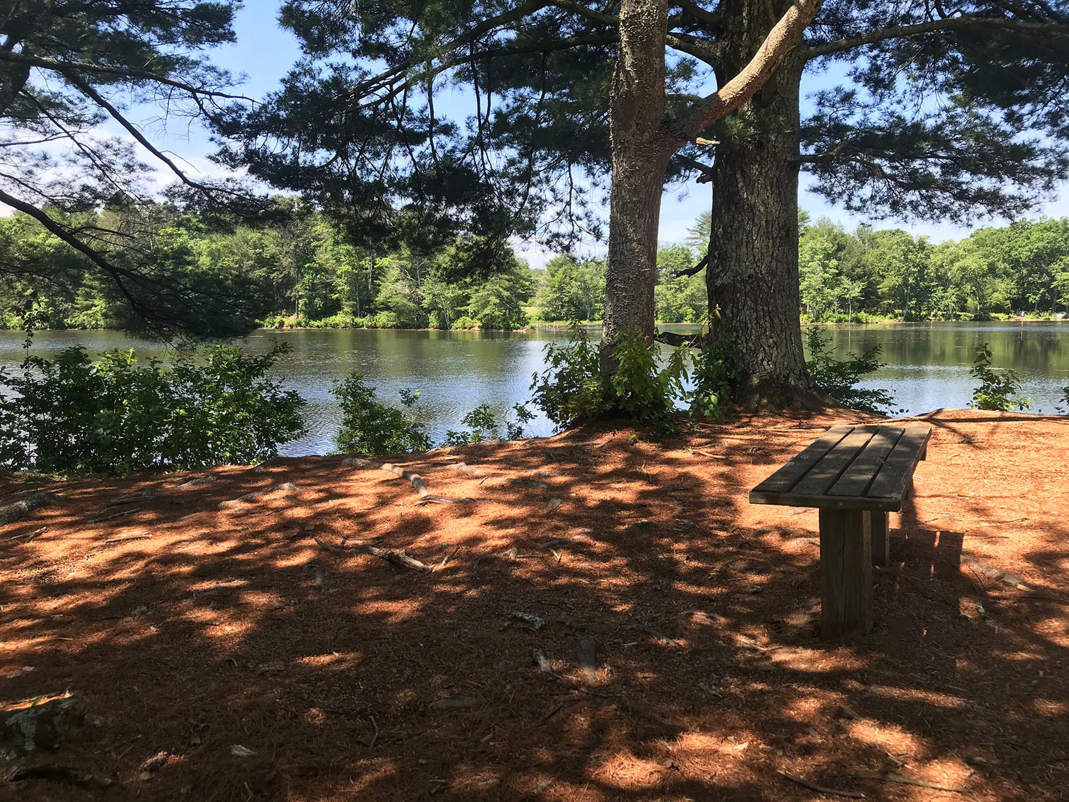 Rhode Island's Best Craigslist Listings