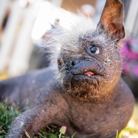 Mr. Happy Face rests before the start of the World