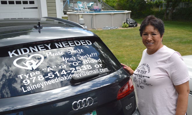 Lainey Barry of Leominster stands next to her vehicle, which advertises a campaign to find her a kidney donor. Her kidneys are failing because of a genetic disorder called polycystic kidney disease.