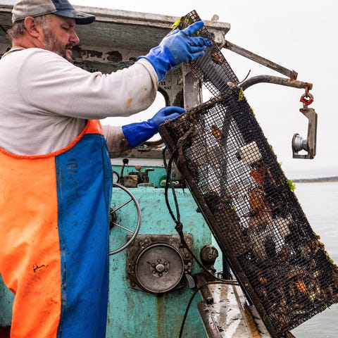 This image provided by Jennifer Bakos shows fisher