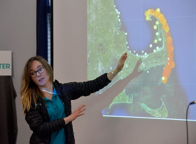 Megan Winton, Atlantic White Shark Conservancy staff scientist, talks about the shark detections marked on a map of Cape Cod. The press event was held June 29 at the Atlantic White Shark Conservancy's Shark Center in Chatham.