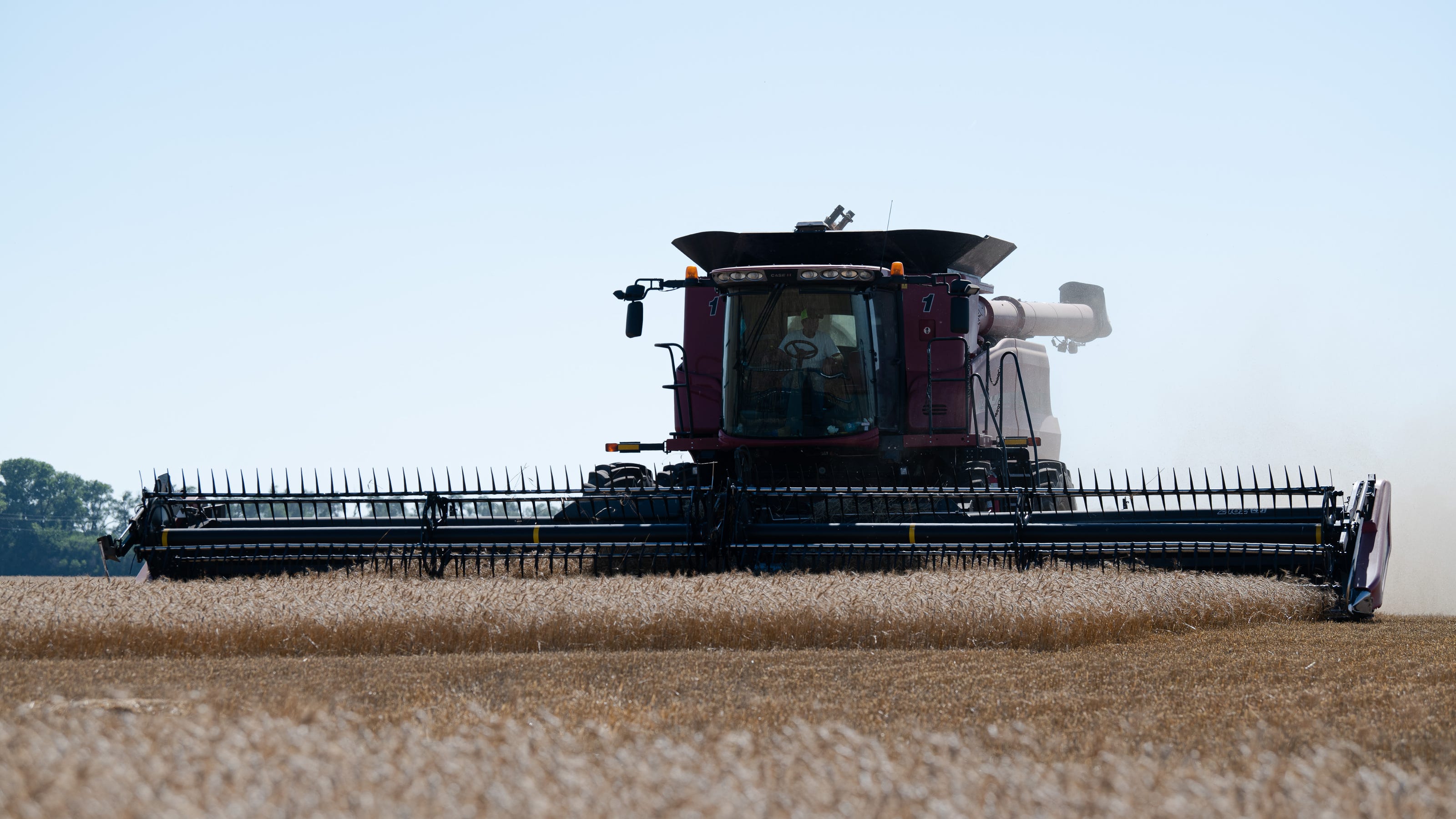 Kansas wheat harvest 2022 continues ahead of schedule Kansas wheat harvest 2022 continues ahead of schedule