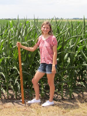 Kewanee FFA member Rachel DeRycke uses her great-grandfather Vernon Blackert’s 47-inch contractor’s ruler to measure the height of the corn on the farm of her grandfather, John DeRycke, north of Annawan, showing how much higher than knee high this year’s corn is by the traditional July 4 benchmark.