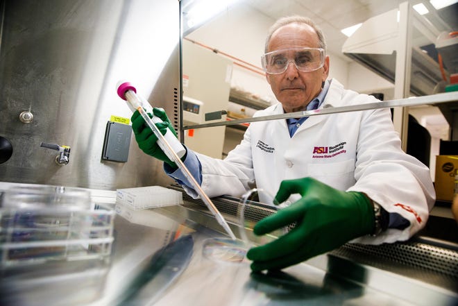 How ‘autoantibodies’ could help us understand long COVID and other autoimmune diseases How ‘autoantibodies’ could help us understand long COVID and other autoimmune diseases