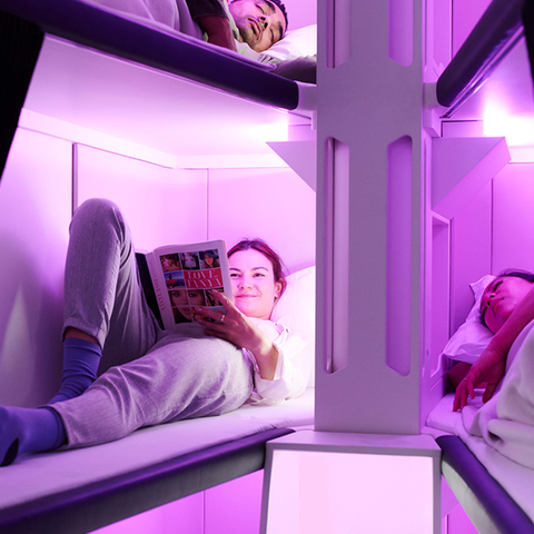 Air New Zealand in June 2022 announced its "Skynes