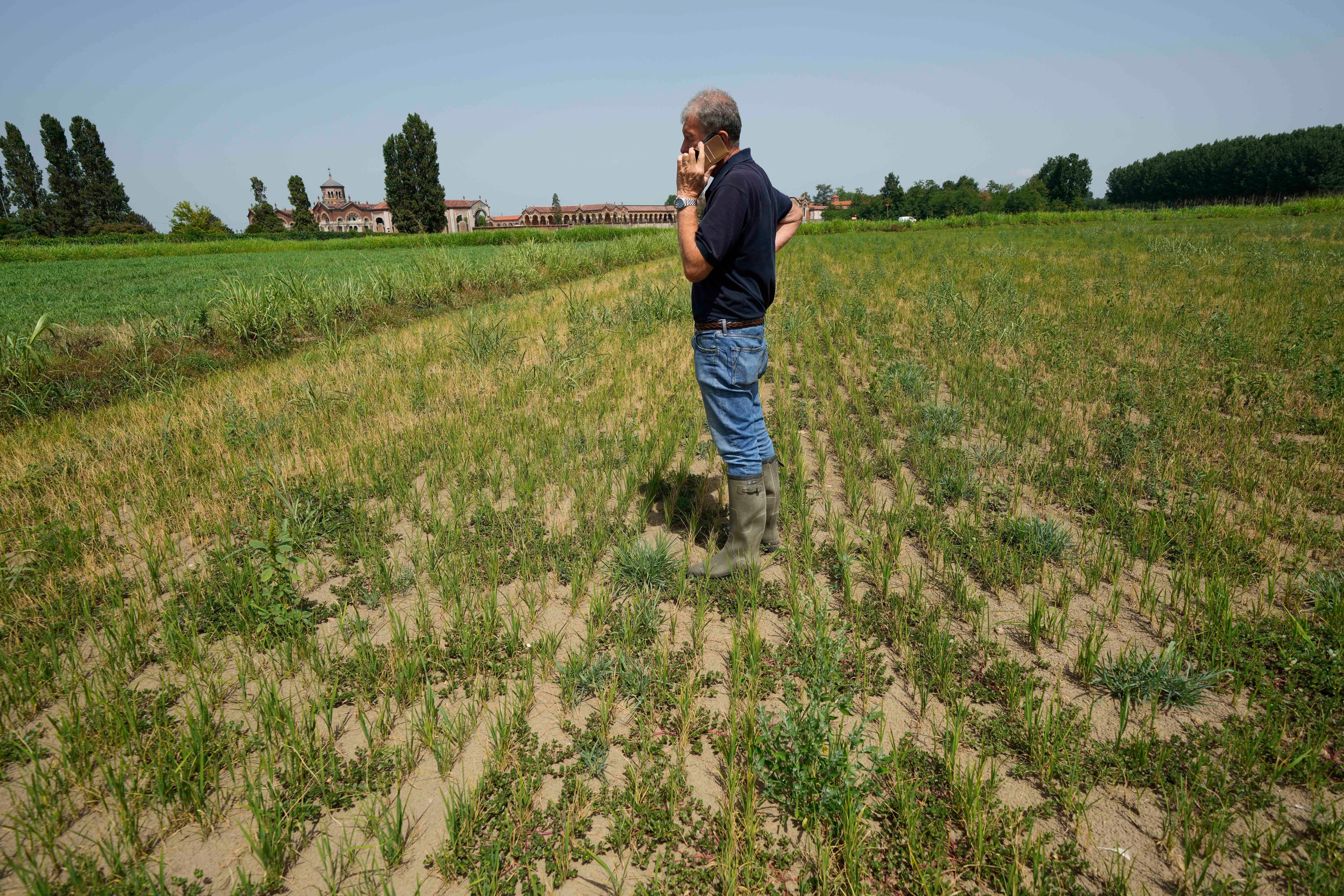 Devastating drought risk to Italian rice paddies