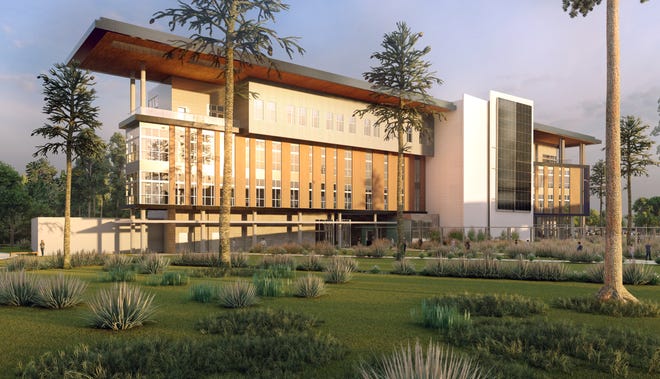 Palm Seaside State College dental university ideas finalize. How much it costs Palm Seaside State College dental university ideas finalize. How much it costs