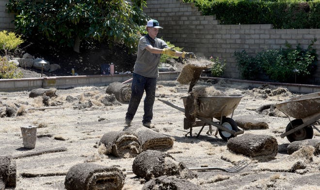 Sam Snow removes grass turf from Caron and Scott Campbell's backyard in Moorpark on Tuesday. With outdoor watering restricted and a prolonged severe drought, the Campbells are installing a drought-tolerant landscape.