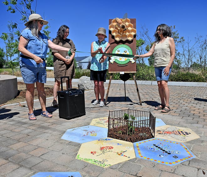 The Talent Garden Club unveiled Thursday what it says is the world's smallest park, located off West Valley View Road on the pedestrian walk near TID in downtown Talent.