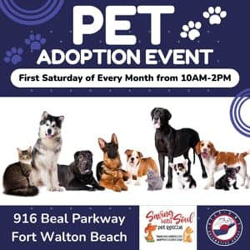 If you are interested in rescuing a pet, Step One Automotive hosts a monthly adoption event.