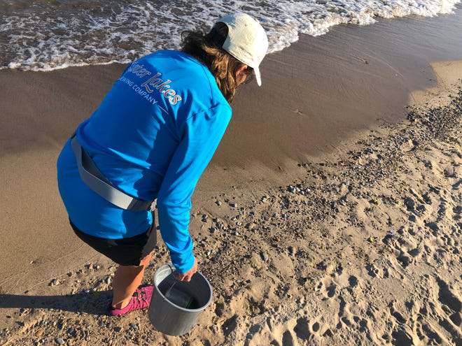 Eileen Crouse of Dowagiac scans the Lake Michigan shore for treasures on June 30, 2022, at Warren Dunes State Park. She uses a bucket with a jar, plus lid, inside for items she doesn't want to lose.