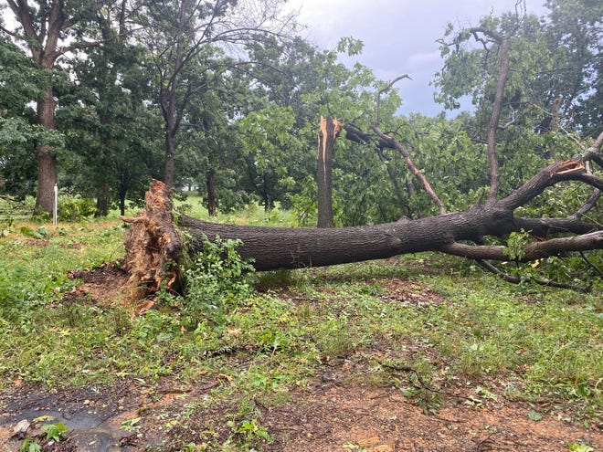 National Weather Service issued a severe thunderstorm warning for the Staunton area Wednesday afternoon. Dozens of trees are down, river water rose several inches and thousands left without power.