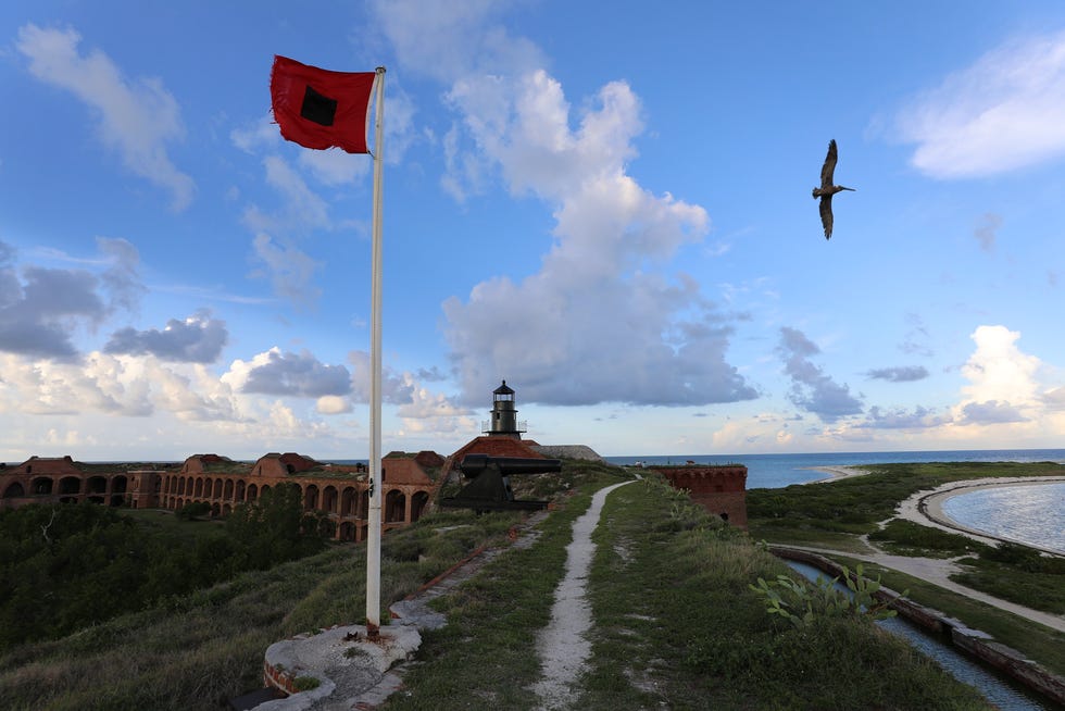 A bird soars over Fort Jefferson in Dry Tortugas National Park.