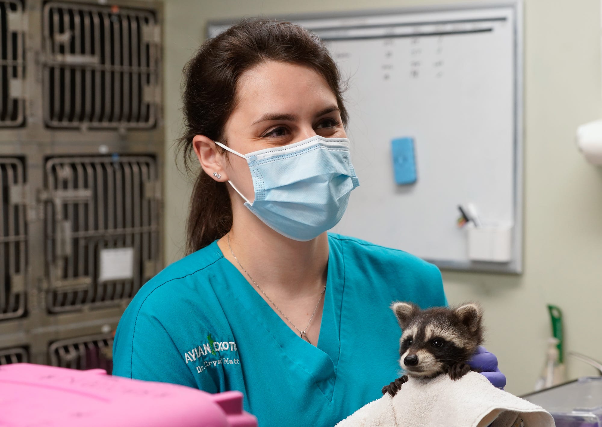 A day inside the Avian & Exotic Animal Clinic of Indianapolis