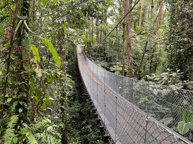Подвесные мосты Ареналь в Коста-Рике помогут преодолеть страх высоты.