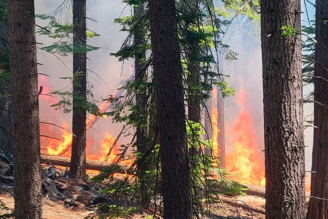 In this photo released by the National Park Service, the Washburn Fire burns near the lower portion of the Mariposa Grove in Yosemite National Park, Calif., Thursday, July 7, 2022. (National Park Service via AP)
