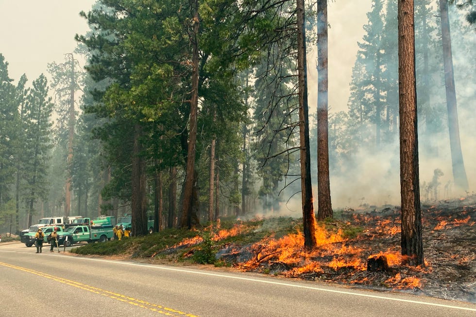 یوسمائٹ نیشنل پارک، کیلیفورنیا میں واوونہ ہوٹل کے شمال میں ایک روڈ وے کے ساتھ واش برن کی آگ جل رہی ہے۔ پیر، 11 جولائی، 2022 کو کیلیفورنیا میں گرمی کی لہر پیدا ہو رہی تھی لیکن ہوائیں ہلکی تھیں کیونکہ فائر فائٹرز جنگل کی آگ سے لڑ رہے تھے جس سے ایک خطرہ تھا۔ یوسمائٹ نیشنل پارک میں دیوہیکل سیکوئیس کے ایک گرو اور ایک چھوٹی سی کمیونٹی تک۔