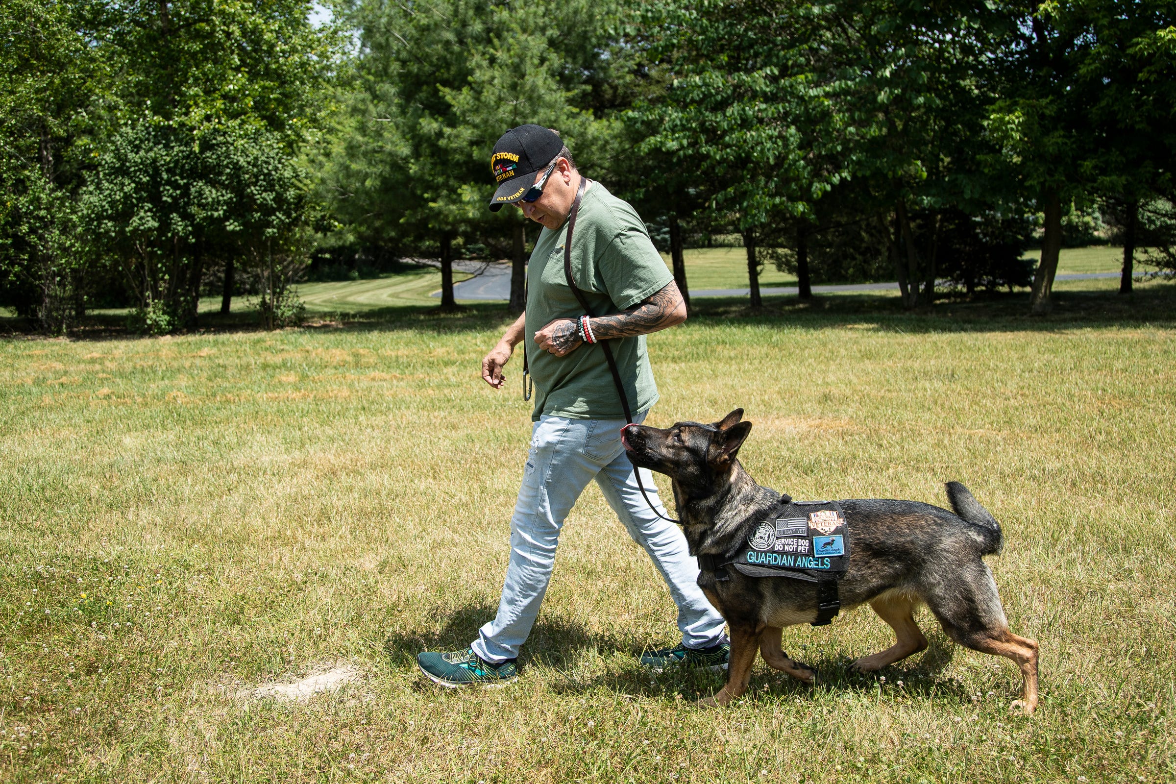 Michigan's National Guard turns to dogs to help stop veteran suicide