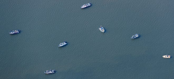 S výjimkou roku 2016 zažívá v západní pánvi Erijského jezera v posledních letech rybolov tloušťů velký boom.