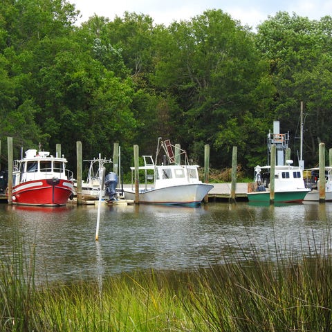 Fishing Dock Boast along a Marsh Water Edge in Oce