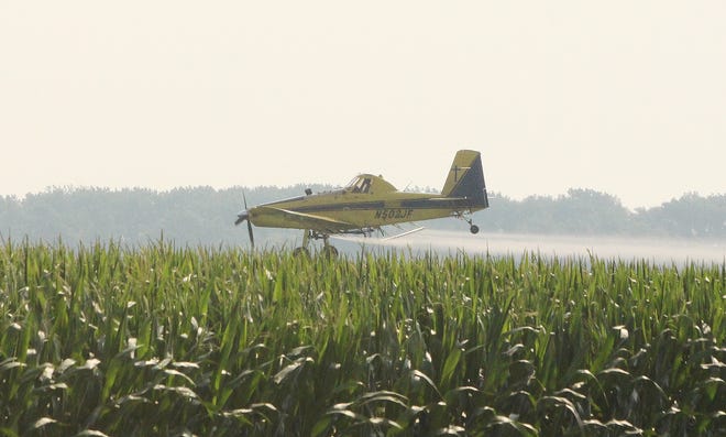 A crop dusting plane buzzes a cornfield north of Fairbury last season.