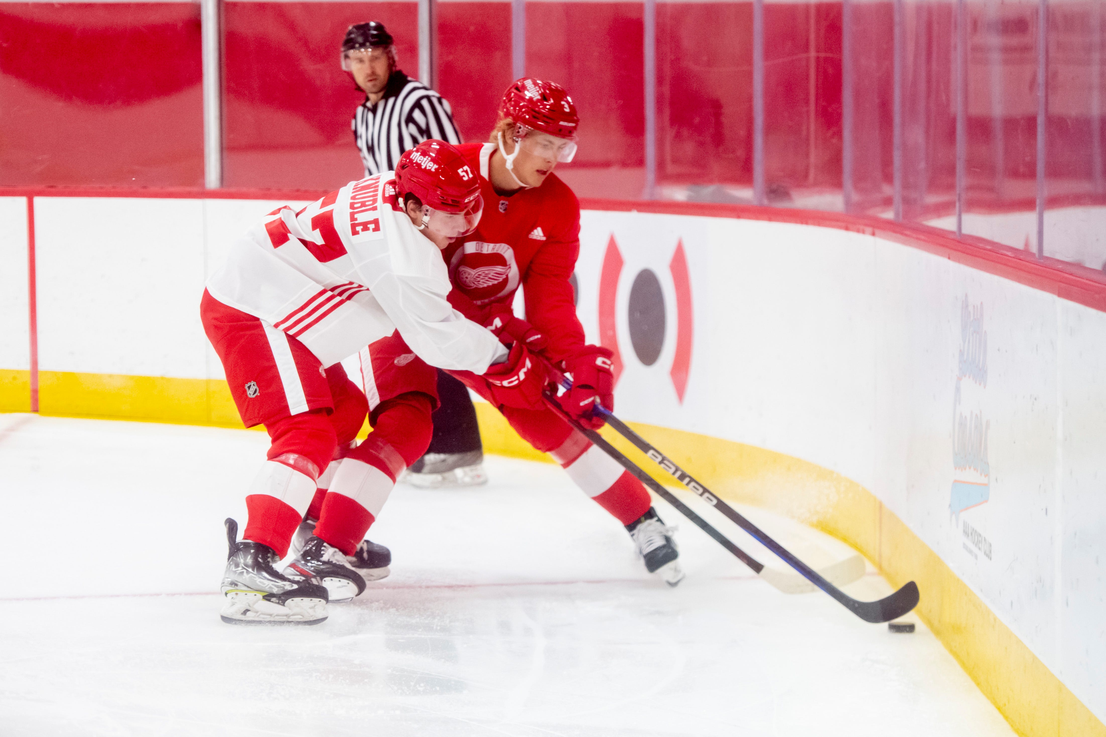 Wait was worth it for Detroit Red Wings prospect William Wallinder
