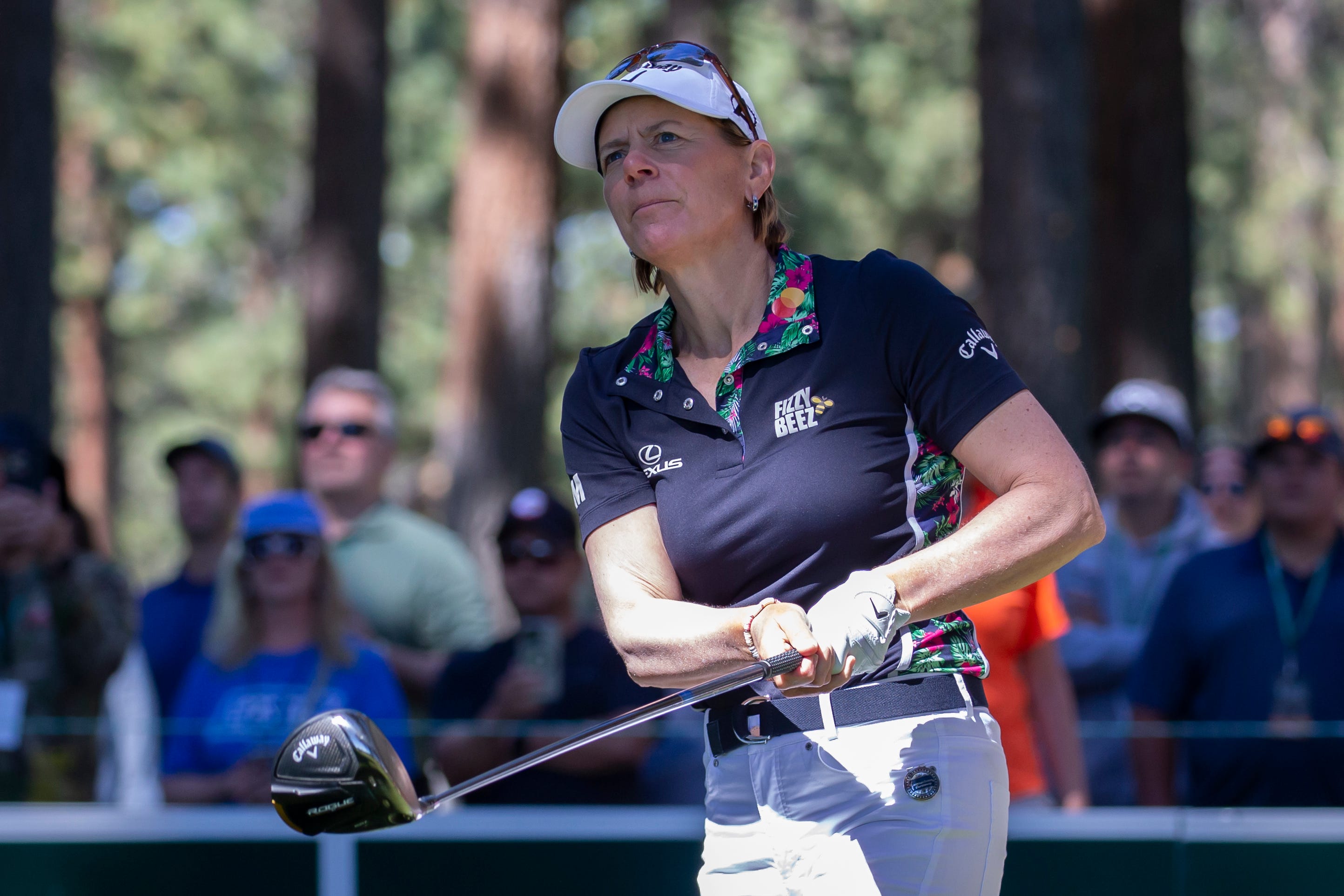 Annika Sorenstam back on top of LPGA leaderboard at Dow Invitational in