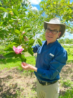 Dr. Gary Knox in the Magnolia Garden at the North Florida Research and Education Center in Quincy. Photo by Brenda Buchan.