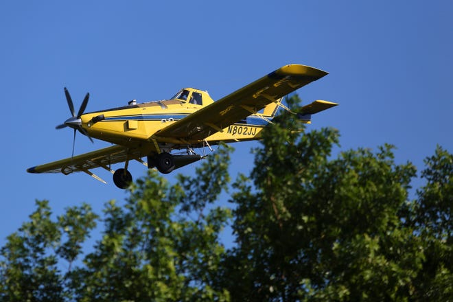 Flying as low as 300 feet, a single-engine agriculture aircraft, contracted by the Indian River Mosquito Control District, dumps a larvicide payload over the Indian River Land Trust's nature preserve Bee Gum Point, Monday, July 11, 2022 in Indian River Shores.  The 111-acre nature preserve, located on the northern end of the barrier island, is an important home for migratory birds, waterfowl and young fish.  The yellow model 802 plane, owned by Thomas R. Summersill, Inc., plays an important role in public health and keeping the mosquito populations down by concentrating on the salt marsh mosquitoes who lay their eggs around the Indian River Lagoon.