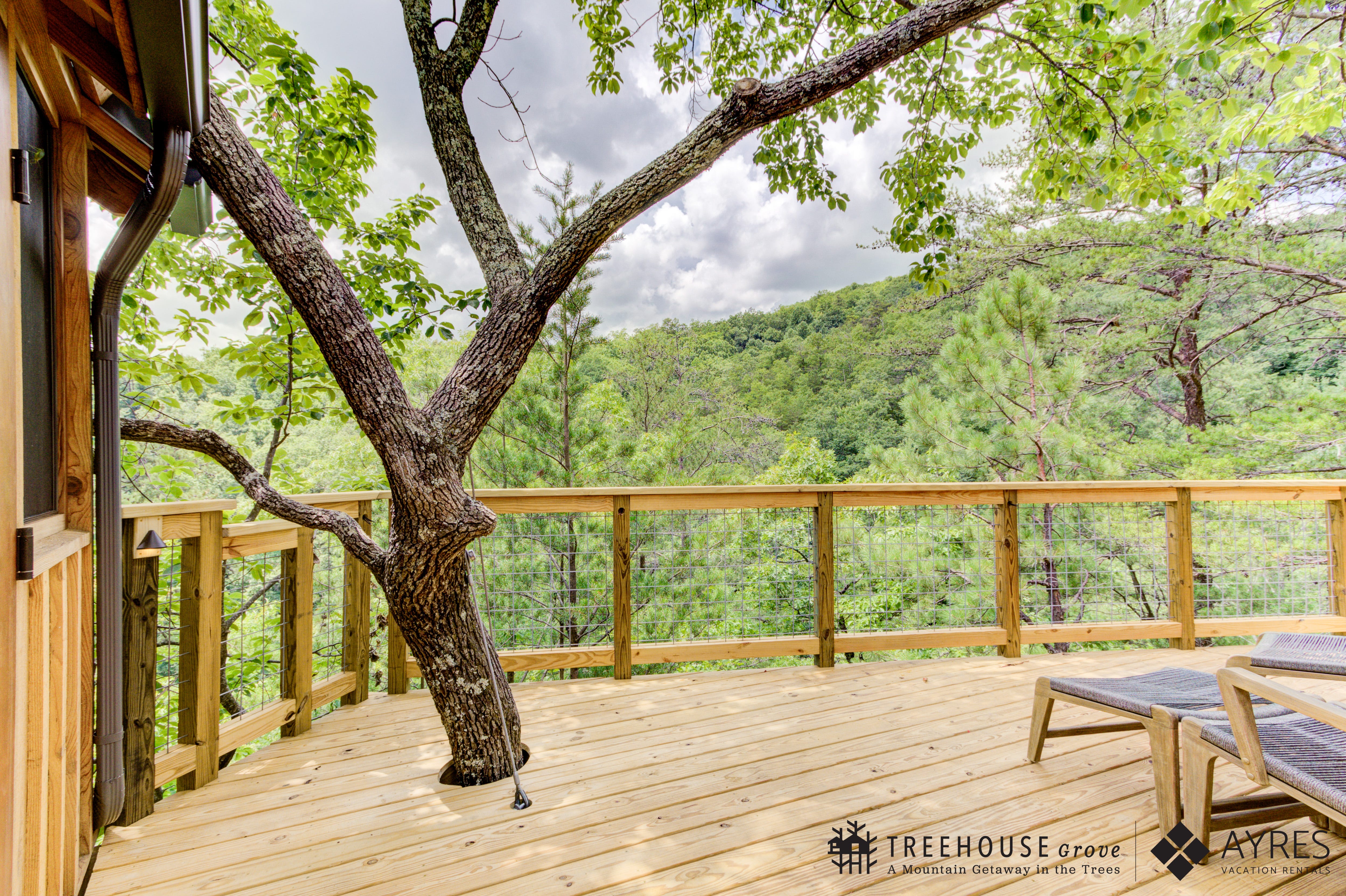 ‘Treehouse Master’ Pete Nelson designs more rentals at Treehouse Grove