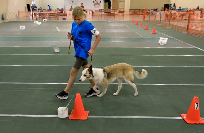 Addisyn Thomas competes in the rally obedience class with 'Teddy' at the Reno County 4-H Dog Show Saturday, July 16, 2022, in the Sunflower North building at the Kansas State Fair.